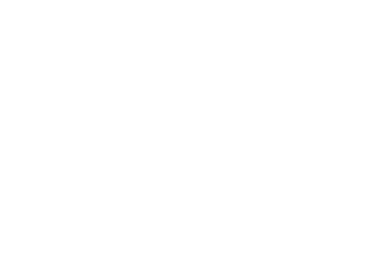 TRANSPORTE MULTIMODAL CANARIO SL.