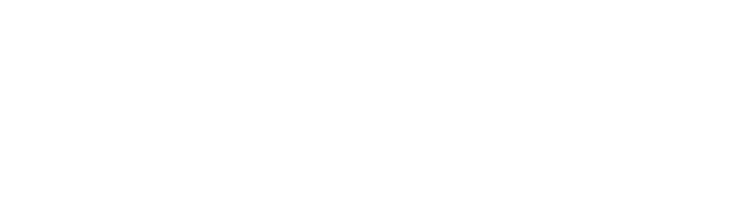 TRANSPORTES-MOSO-DIEZ-SL-1.png